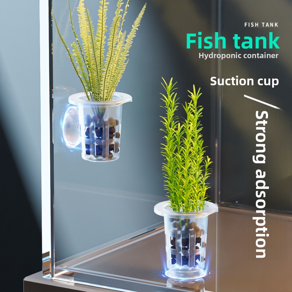 Aquarium Plant Growth - 10個入り透明植物水耕栽培ポット、吸盤付きプラスチック製水草育成ポット、水槽植栽カップ