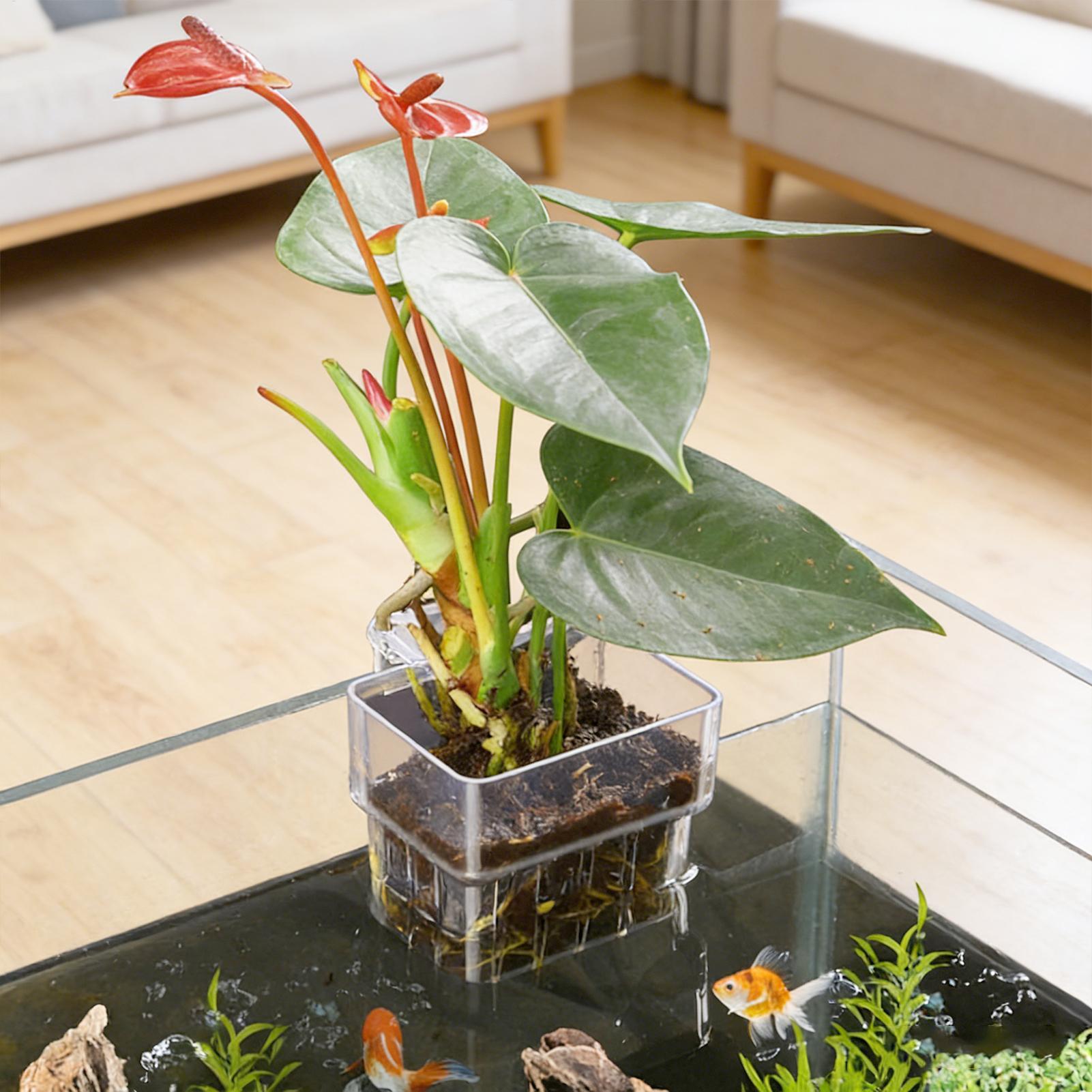 Aquarium Plant Growth - 水槽植物バスケット透明水槽吊り下げ装飾ポット水生植物ホルダー水生植物カップ水槽プランター