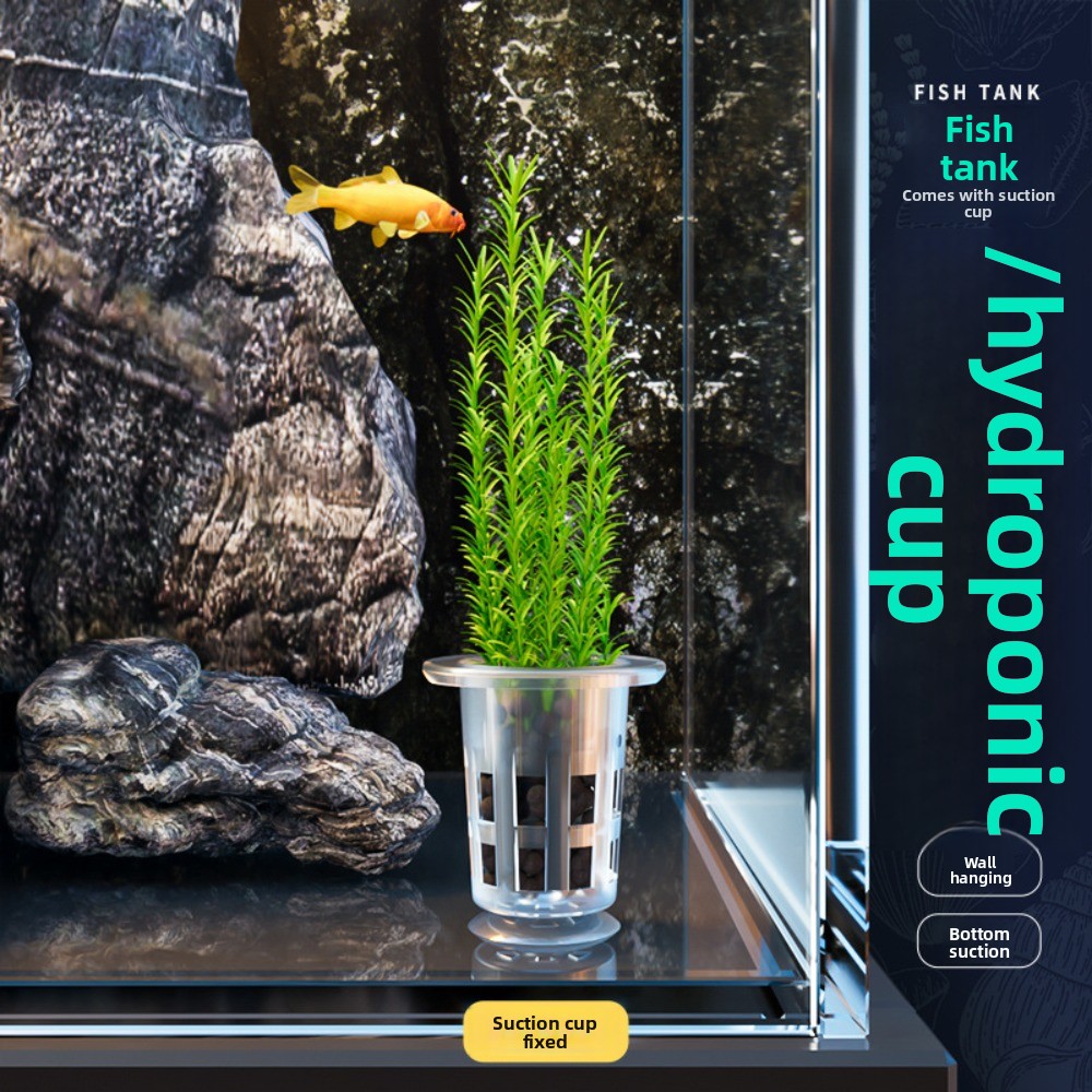 10個入り透明植物水耕栽培ポット、吸盤付きプラスチック製水草 - Aquarium Plant Growth のレビューと価格