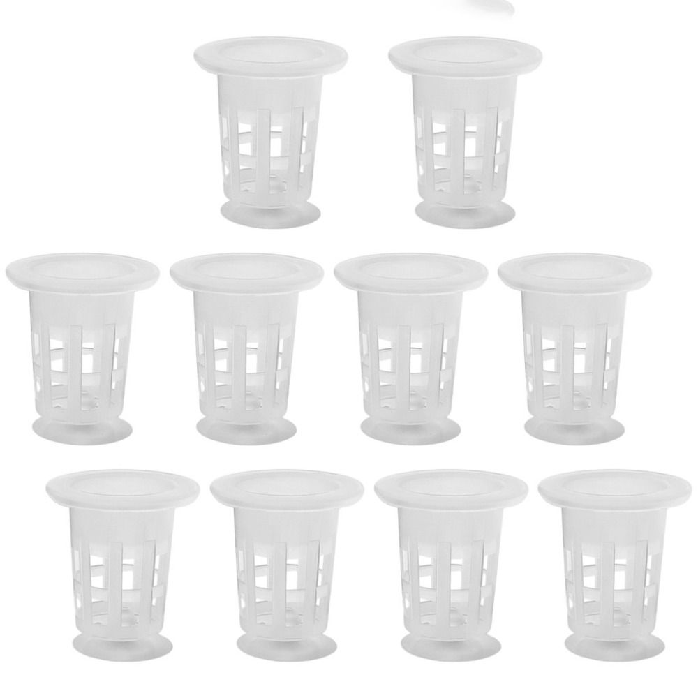 10個入り透明植物水耕栽培ポット、吸盤付きプラスチック製水草 - Aquarium Plant Growth のレビューと価格