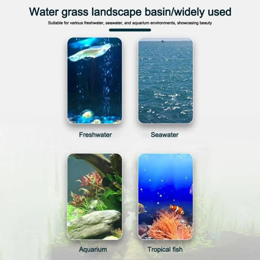 10個入り透明植物水耕栽培ポット、吸盤付きプラスチック製水草 - Aquarium Plant Growth のレビューと価格
