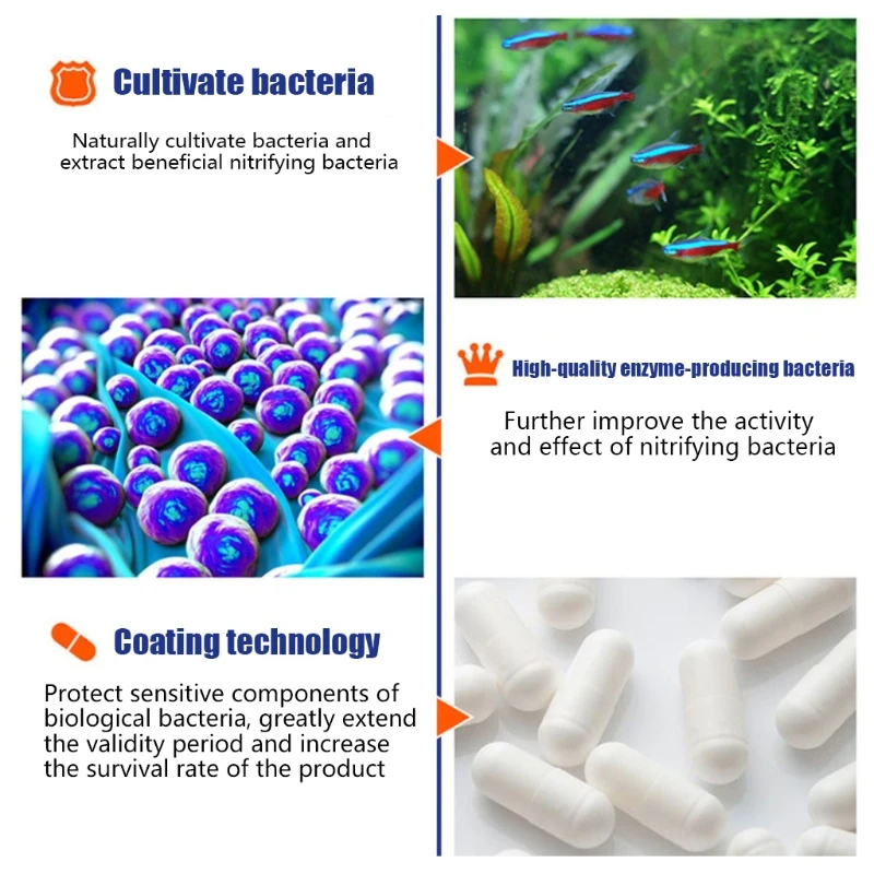 50 個/ボトル水族館タンク硝化細菌淡水濃縮カプセル品質とそ - Aquarium Plant Liquid Fertilizer のレビューと価格