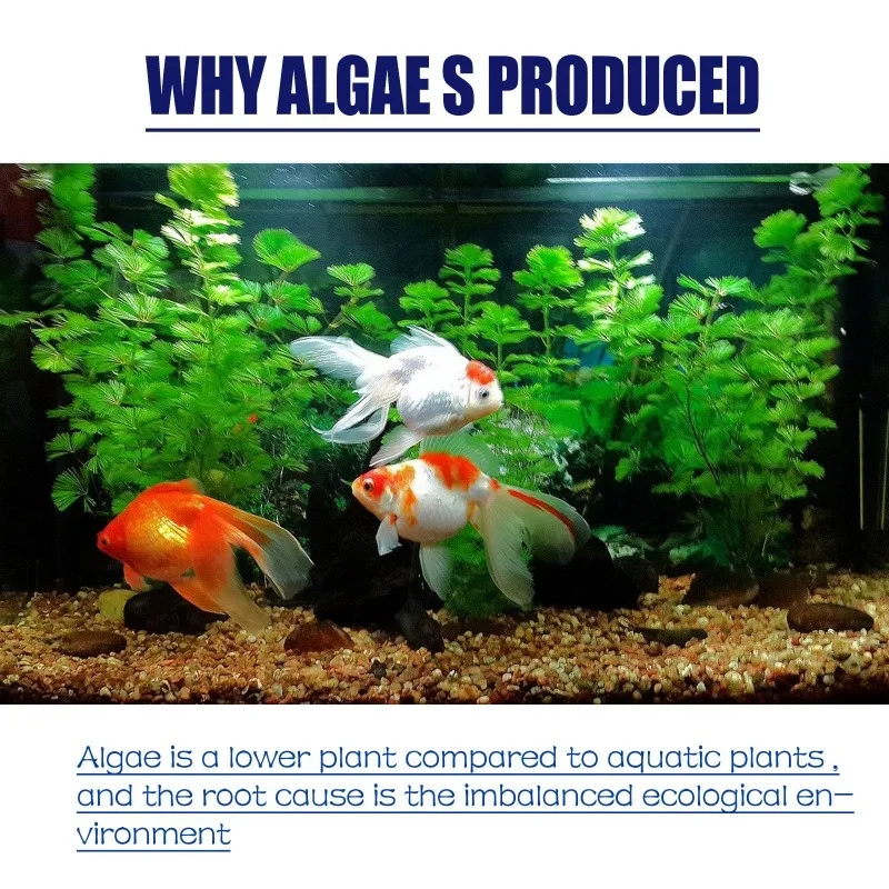 50g高効率藻類駆除剤、水槽・池の藻類・苔の抑制、緑水減少、 - Aquarium Plant Liquid Fertilizer のレビューと価格
