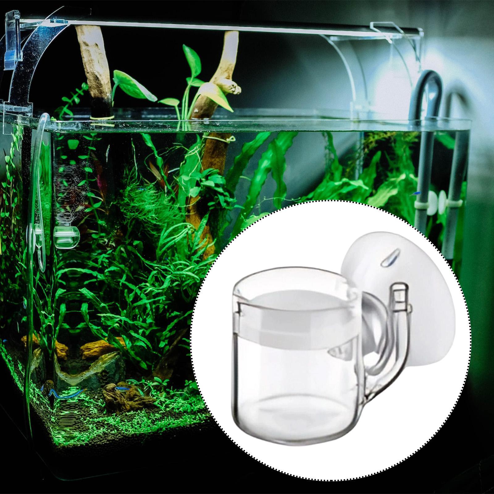 CO2水槽用ディフューザー（ガラス製）、気泡計測器、水生植物 - Aquarium Planted Tank Setup のレビューと価格