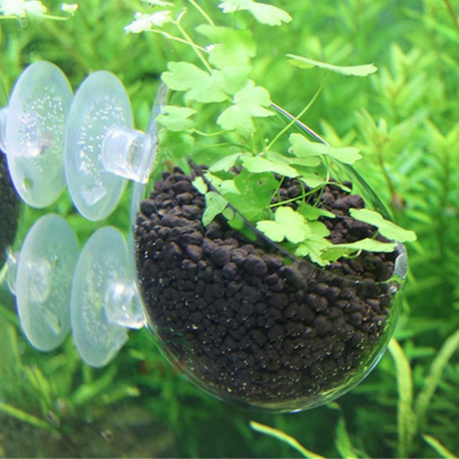 水槽用植物ホルダー ガラス製水草ポット 吸盤付き 生きた植物 - Aquarium Planted Tank Substrate のレビューと価格
