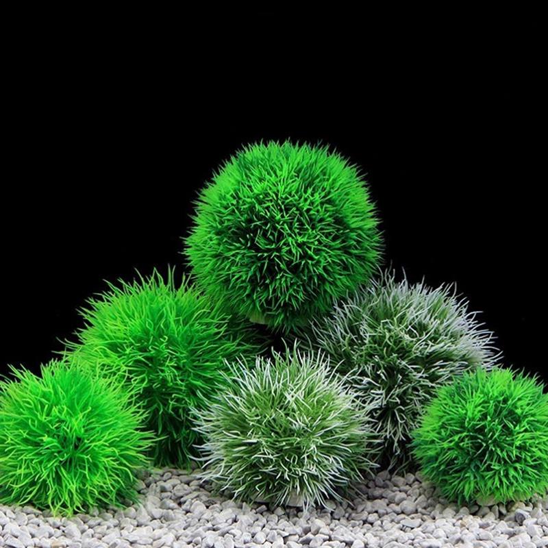 まりもコケ玉ライブ水族館植物藻類魚エビタンク飾りシミュレーシ - Aquarium Plant Echinodorus のレビューと価格