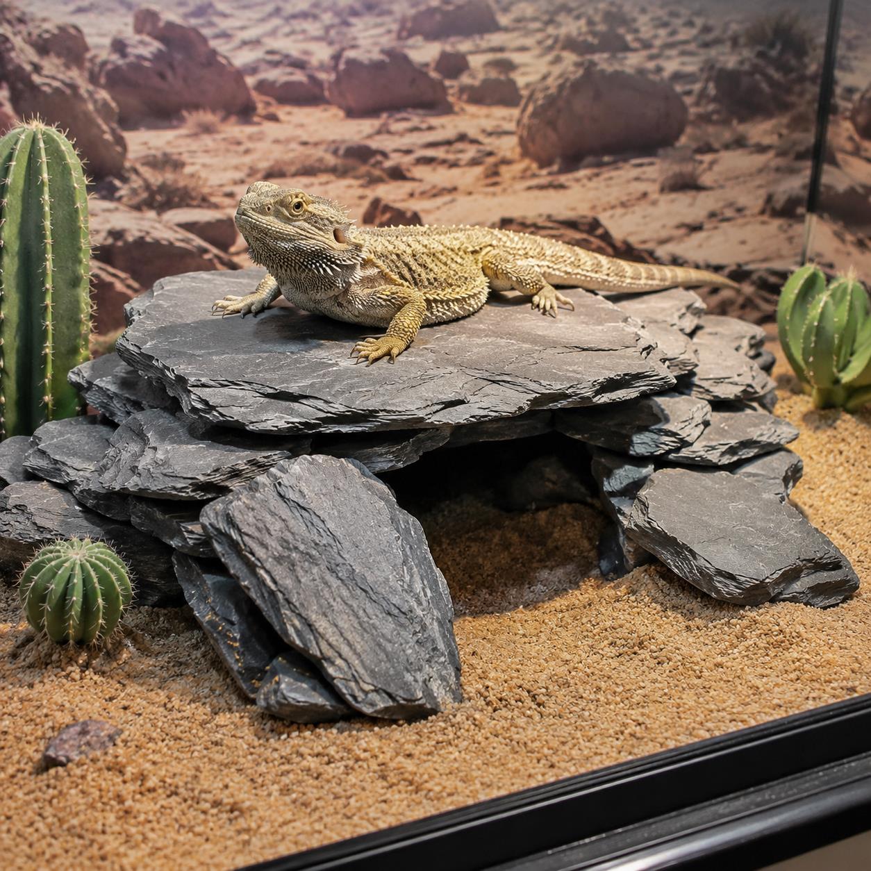 500g/1000g アクアリウムスレートチップ – 魚に安 - Planted Aquarium Hardscape のレビューと価格