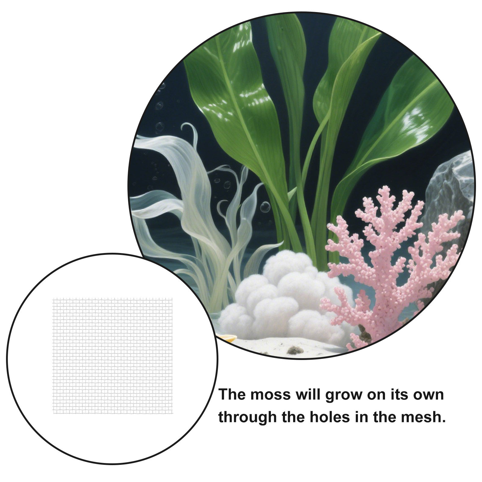 12個入り、ステンレス製ワイヤーメッシュパッド、水槽用モスネ - Aquarium Planted Tank Setup のレビューと価格