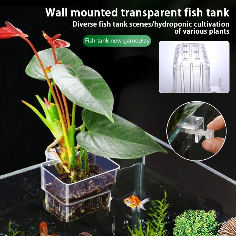 水槽吊り下げプランターカップ 壁掛け水生植物ホルダー 水槽プ - Aquarium Plant Growth のレビューと価格