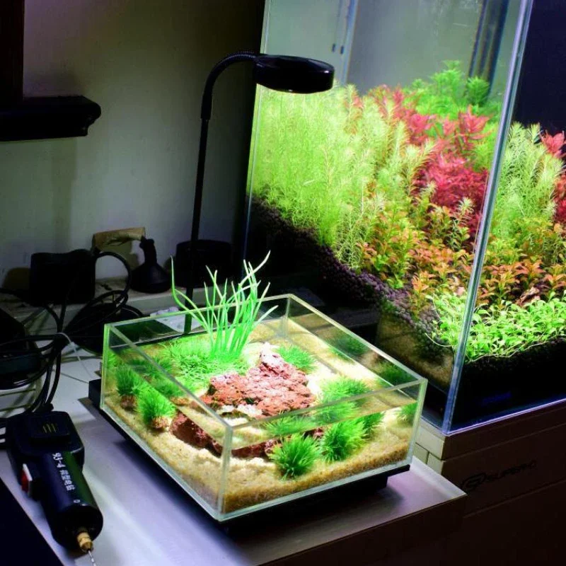 竹板付きミニLED水族館ライト、淡水植物水槽ライト、植物の成 - Aquarium Plant Growth のレビューと価格