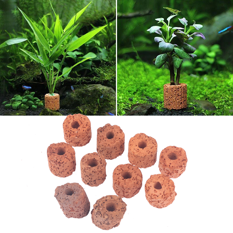 10 個ミニ水生植物リング水族館植物用バイオリング装飾ホルダ - Aquarium Planted Tank Setup のレビューと価格