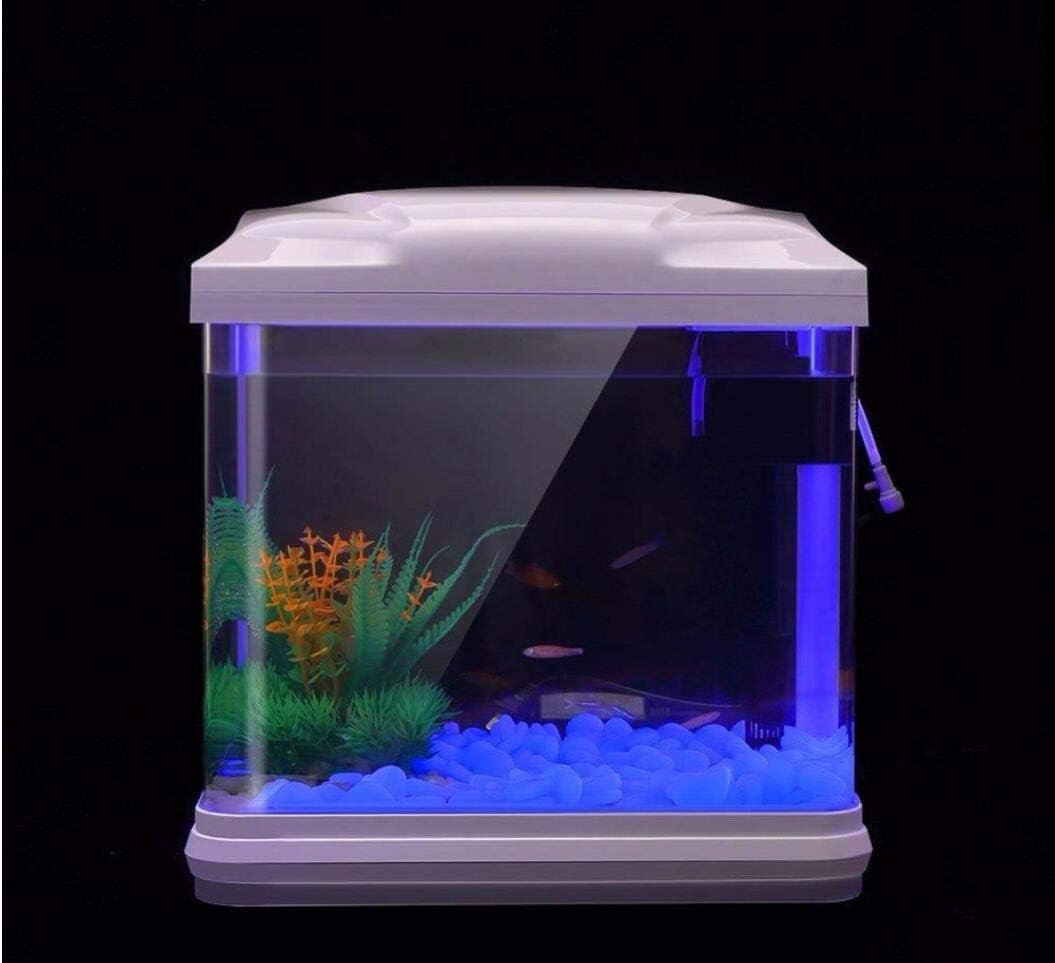 水槽岩グローブルー小石庭用水槽水族館植木鉢盆栽歩道私道 - Aquarium Plant Growth のレビューと価格