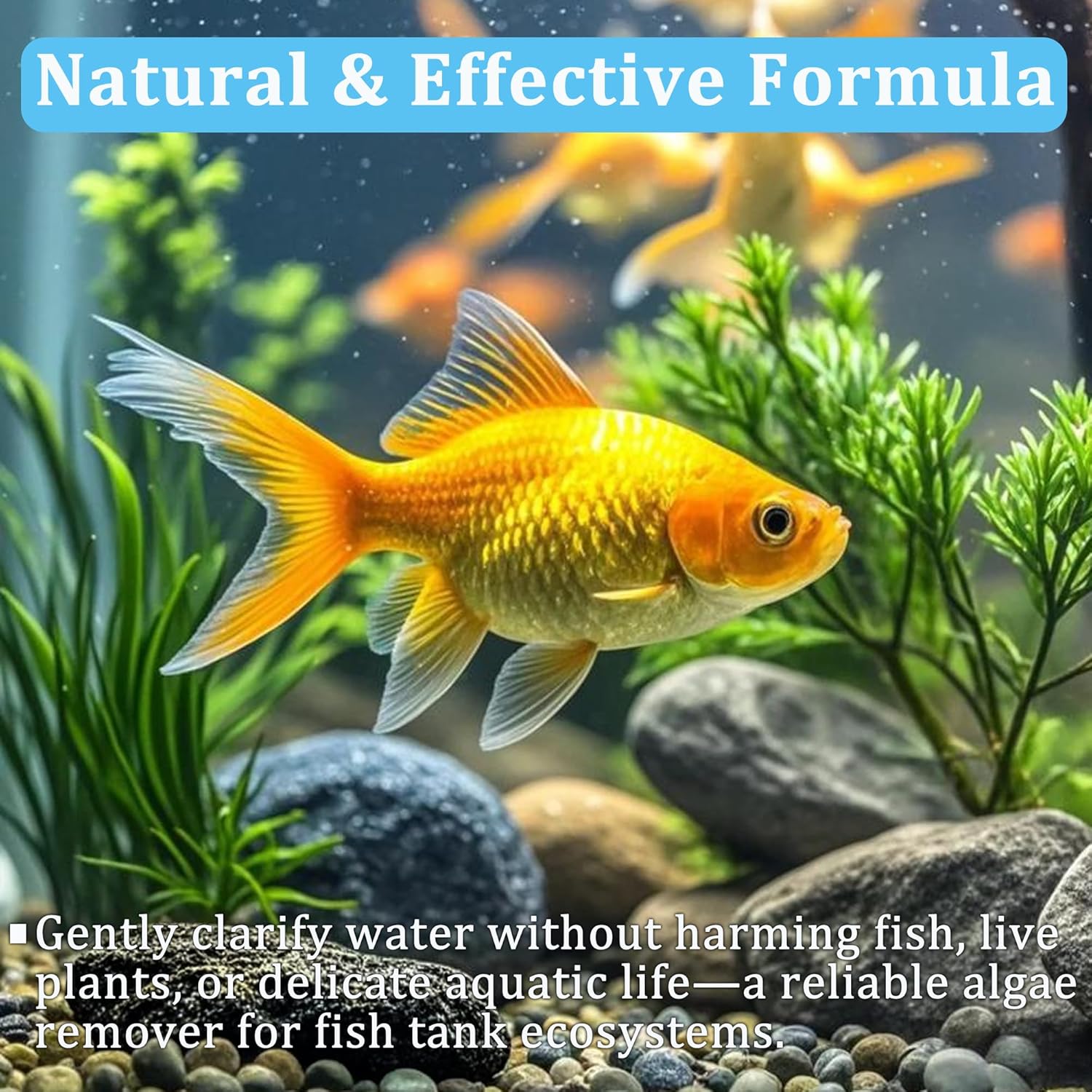 水槽水浄化タブレット 魚タンク浄化剤 急速透明化 濁り除去  - Aquarium Plant Liquid Fertilizer のレビューと価格