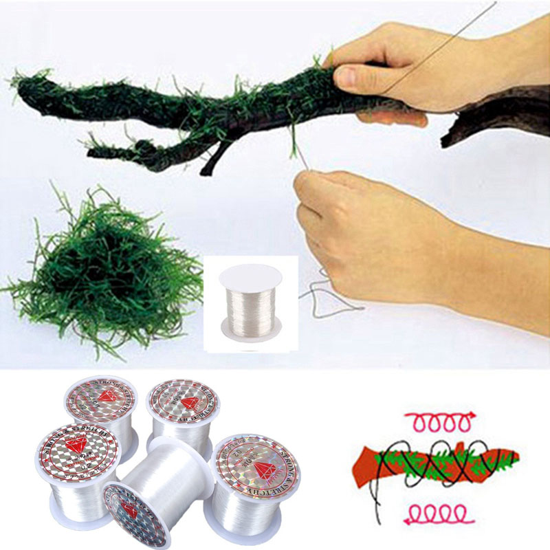 120 メートル DIY モスライン結合ライン超強力透明ナイ - Aquarium Plant Echinodorus のレビューと価格