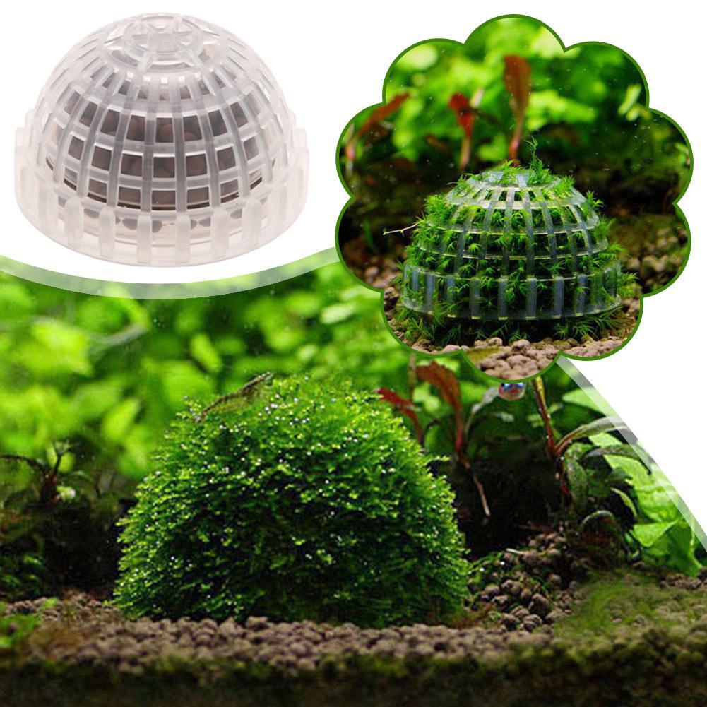 1pc 水生ペット用品装飾水族館苔ボール生植物フィルタージャ - Aquarium Planted Tank Substrate のレビューと価格