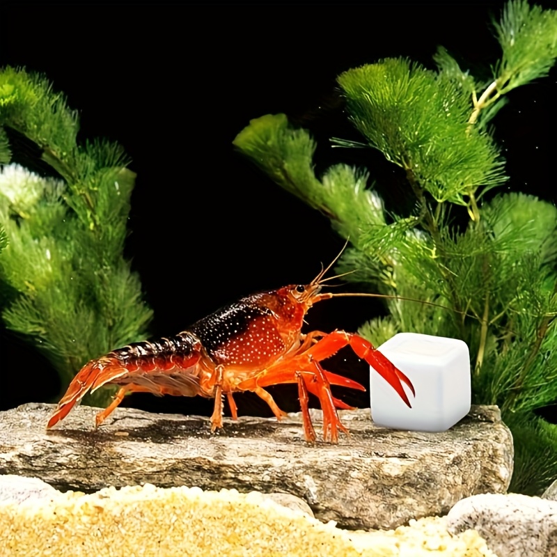 6個入り 魚タンク用カルシウムブロック ミネラル アクアリウ - Aquarium Plant Liquid Fertilizer のレビューと価格