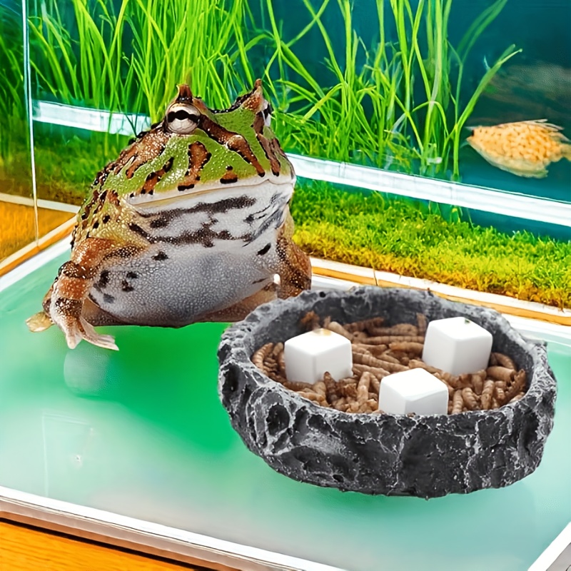 6個入り 魚タンク用カルシウムブロック ミネラル アクアリウ - Aquarium Plant Liquid Fertilizer のレビューと価格